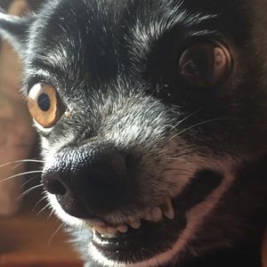 Meet your Posher, Dava